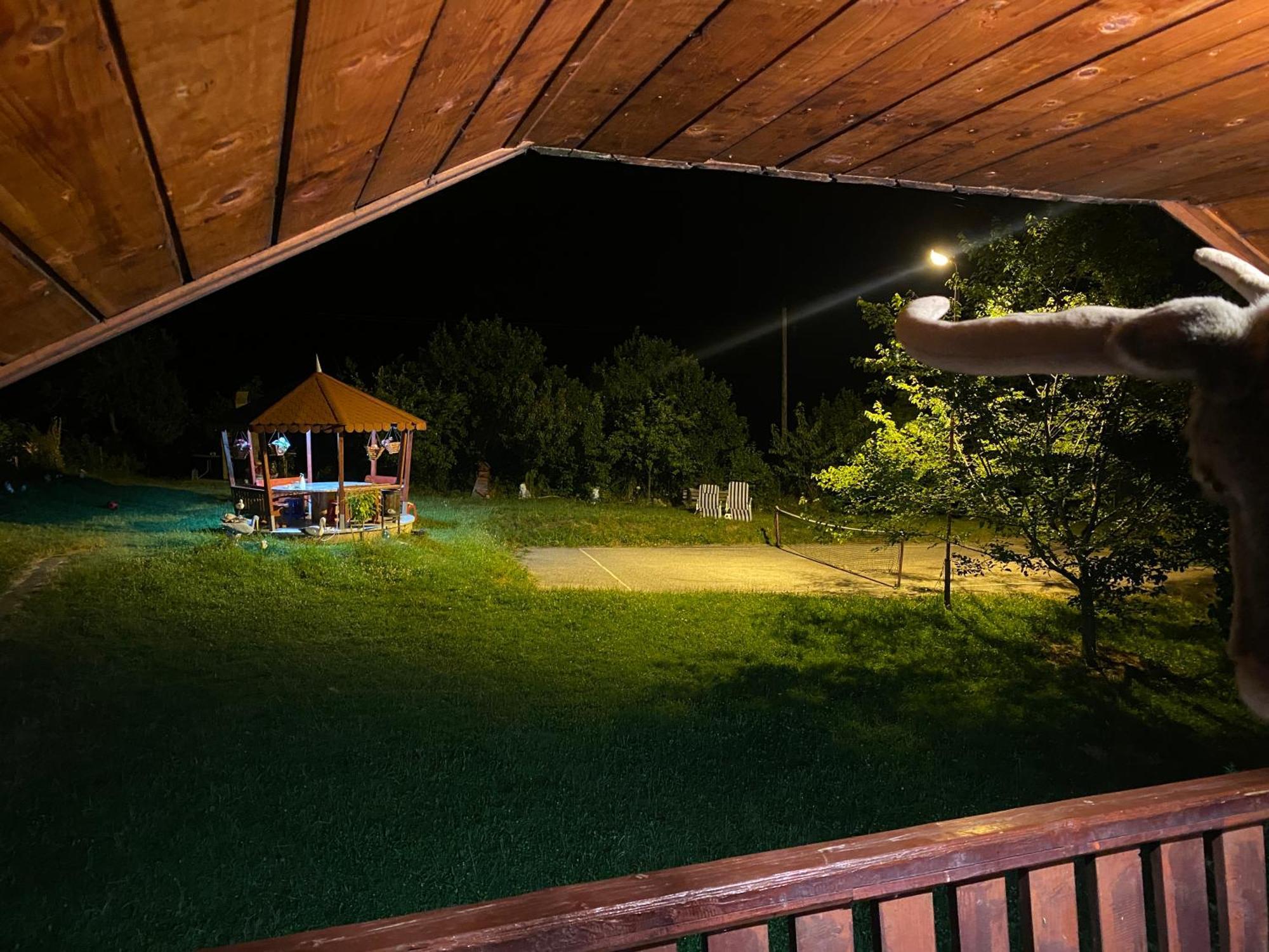 Cabana Cu Teren De Tenis -- Etaj Banita Екстериор снимка