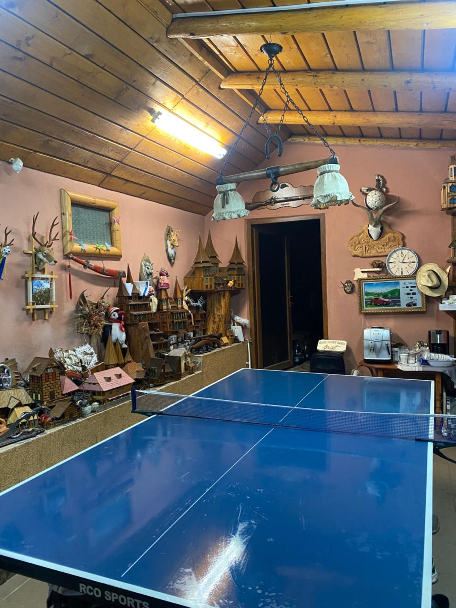 Cabana Cu Teren De Tenis -- Etaj Banita Екстериор снимка