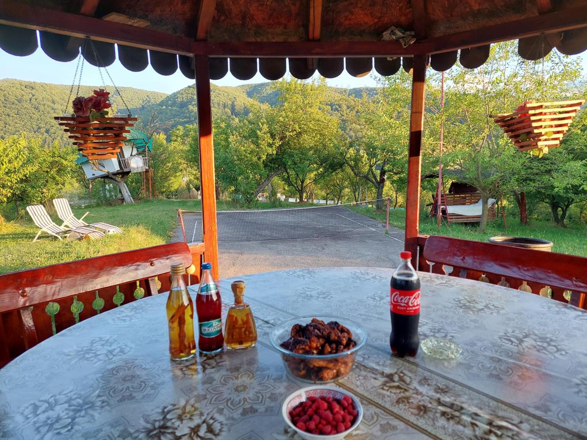 Cabana Cu Teren De Tenis -- Etaj Banita Екстериор снимка